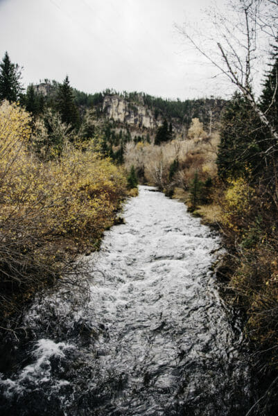 River in the Black Hills