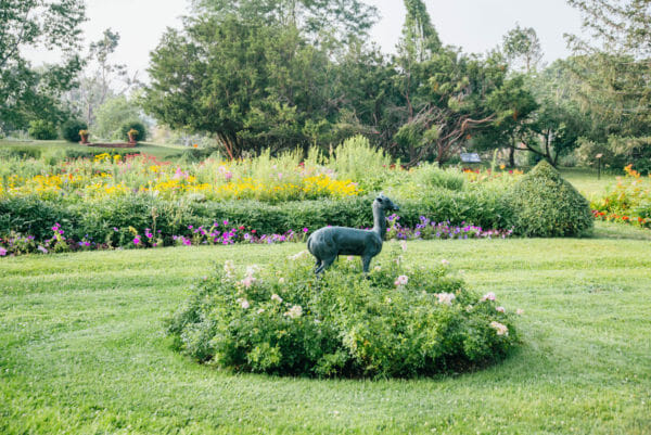Deer statue in a garden