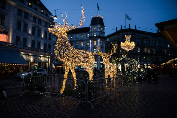 Reindeer lit up at night