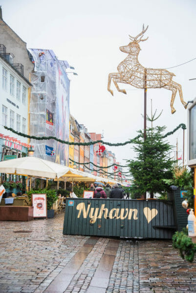 Reindeer decor in Nyhavn Christmas market