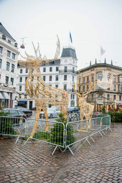 Golden reindeer decorations