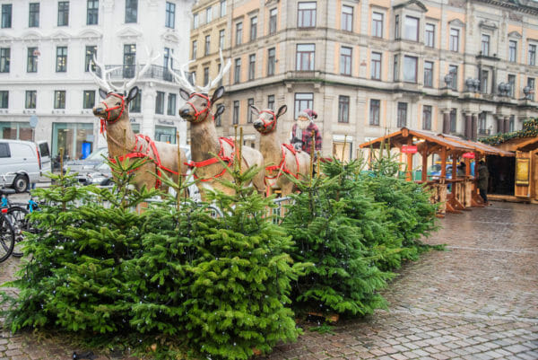 Reindeer decorations at Christmas market