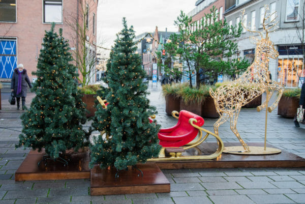 Christmas trees and sleigh in Roskilde