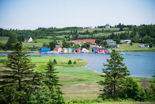 trees and colorful homes on Prince Edward Island