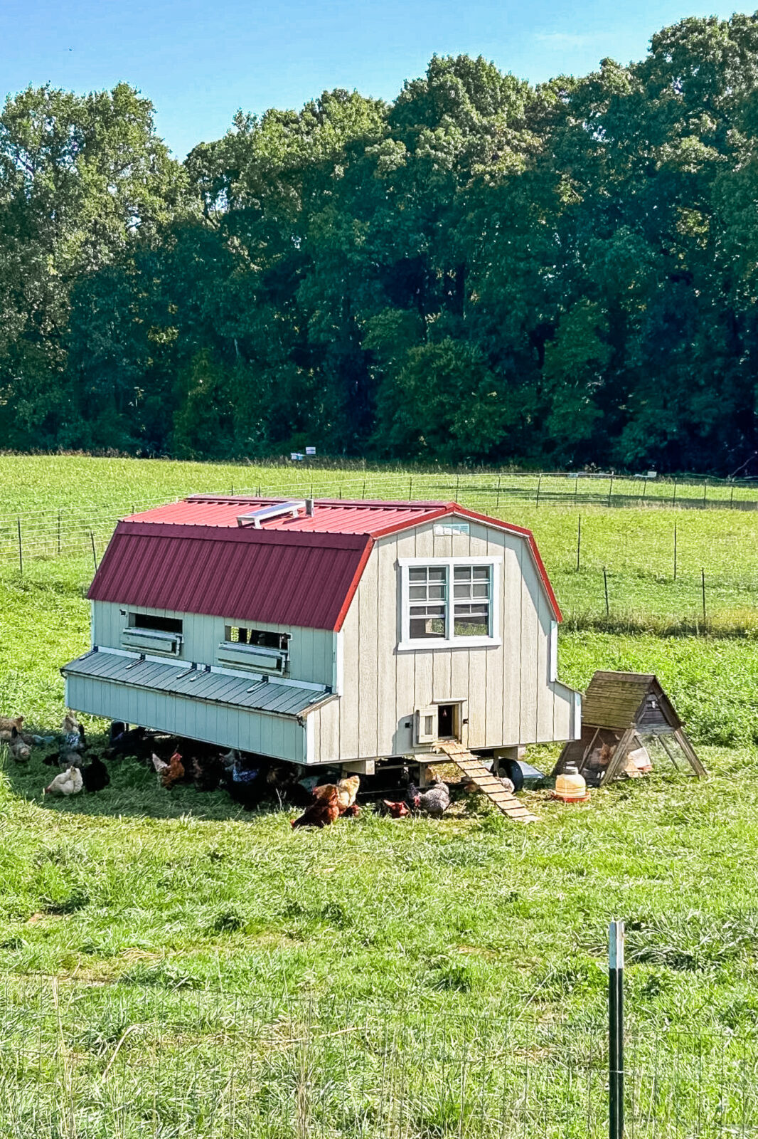 7 Farms to Visit in and Around Philadelphia